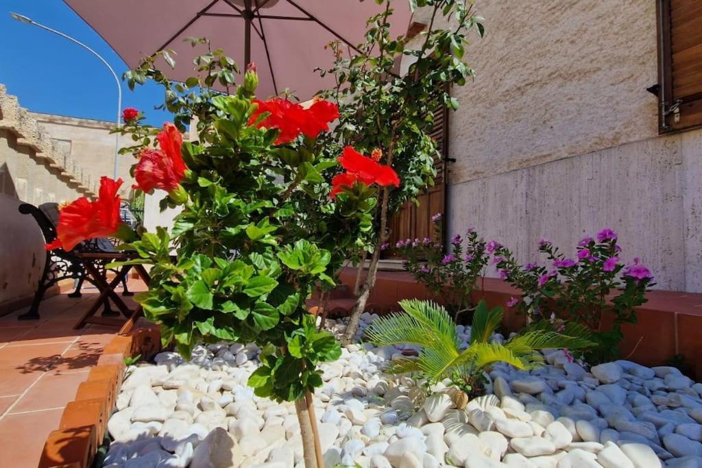 Willa La Cava Di Sasa Favignana Zewnętrze zdjęcie